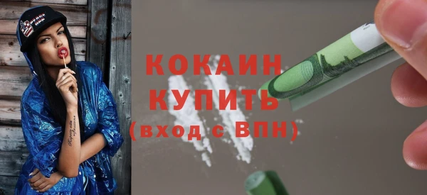 2c-b Краснослободск