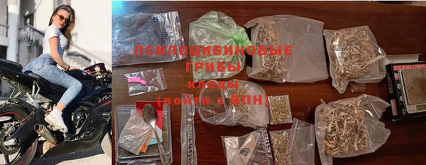ПСИЛОЦИБИНОВЫЕ ГРИБЫ Краснотурьинск