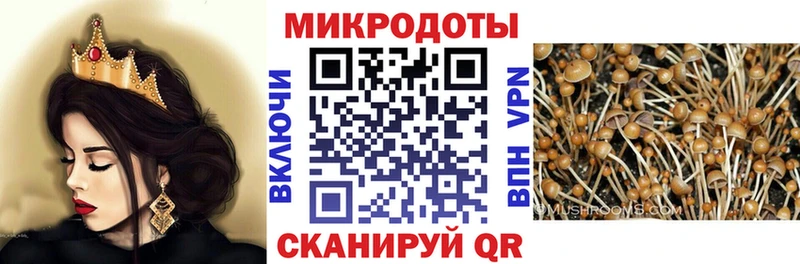 Купить где  Сатка  Псилоцибиновые грибы GOLDEN TEACHER 